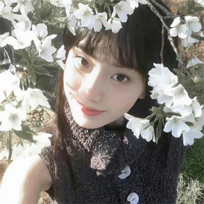 密探海芮：部落格大战